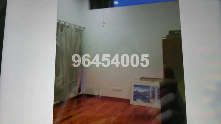 Serangoon Garden Estate (D19), Semi-Detached #103369392